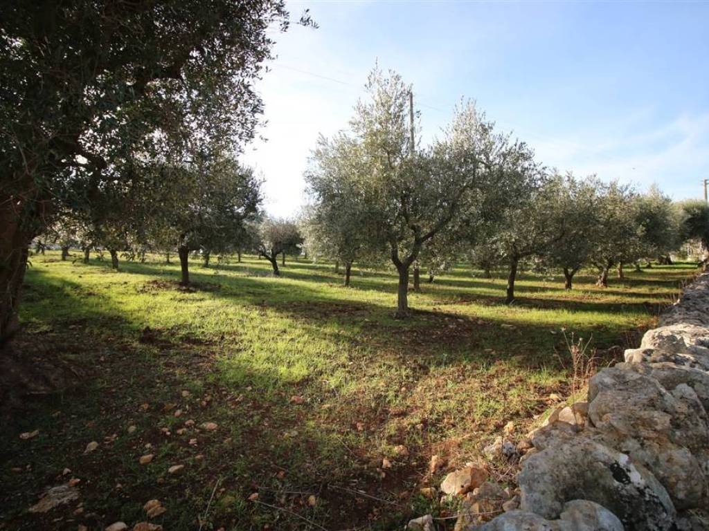 Terreno a Martina franca in Località Ortolini - Foto 4