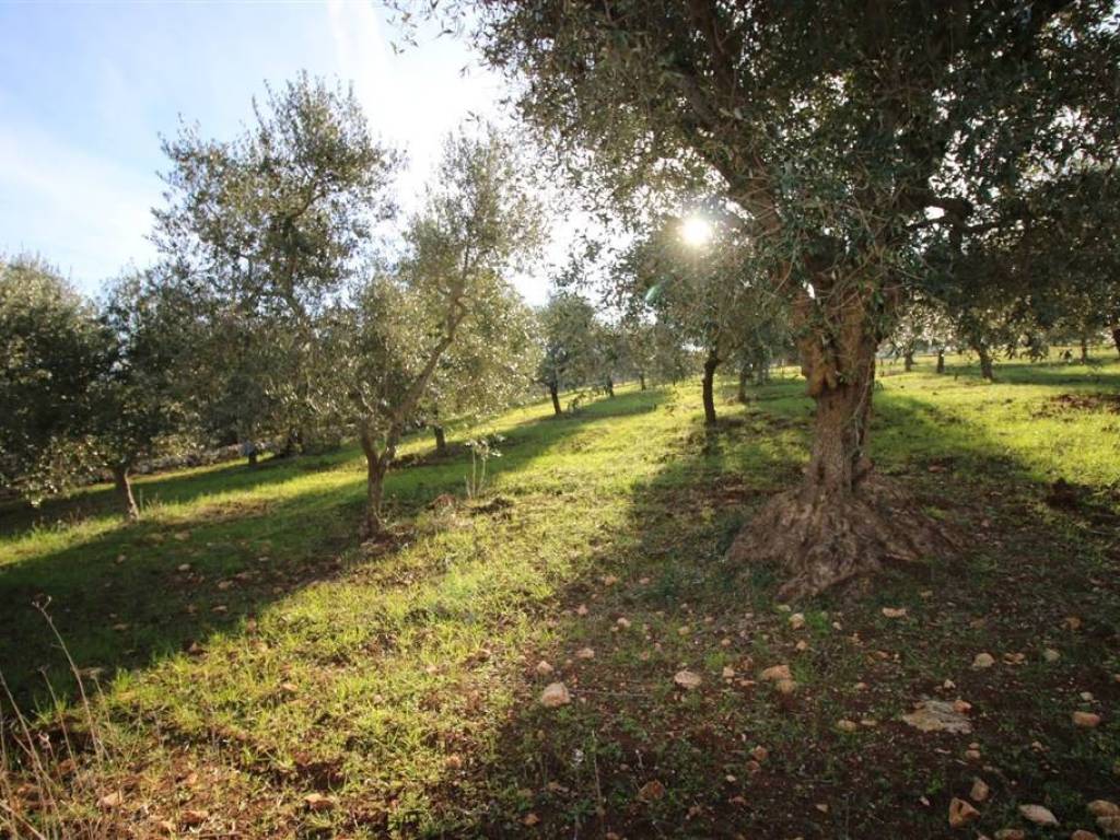 Terreno a Martina franca in Località Ortolini - Foto 5