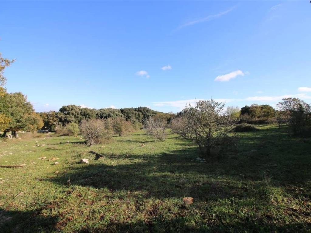 Terreno a Martina franca in Contrada Grassitiello - Foto 4