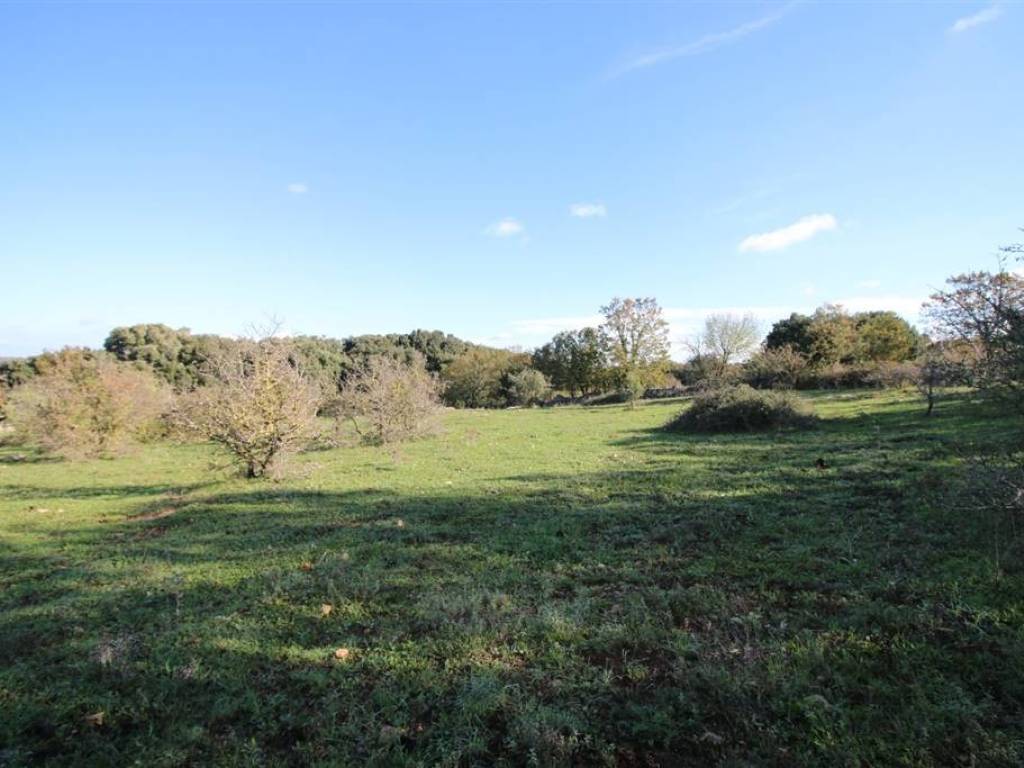 Terreno a Martina franca in Contrada Grassitiello - Foto 5