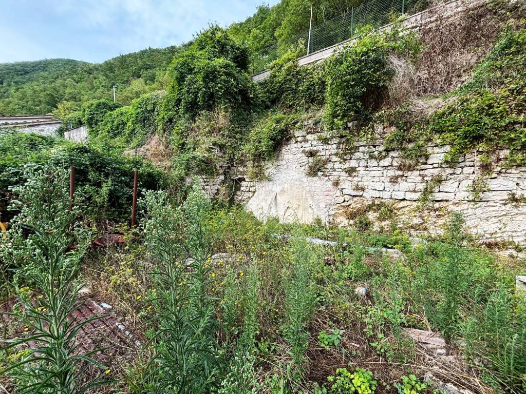 Terreno a Sefro - Foto 4