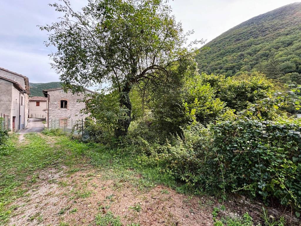 Terreno a Sefro - Foto 5