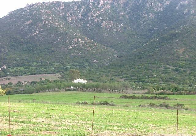 Terreno a Muravera - Foto 3