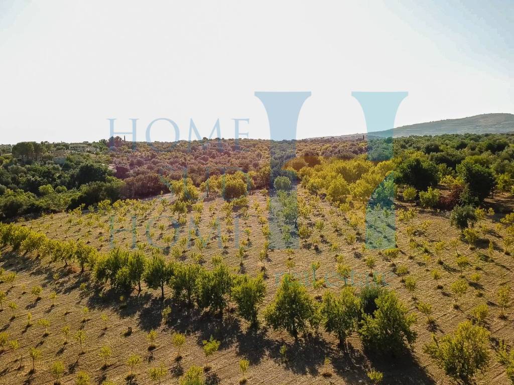 Rustico / casale a Noto - Foto 2