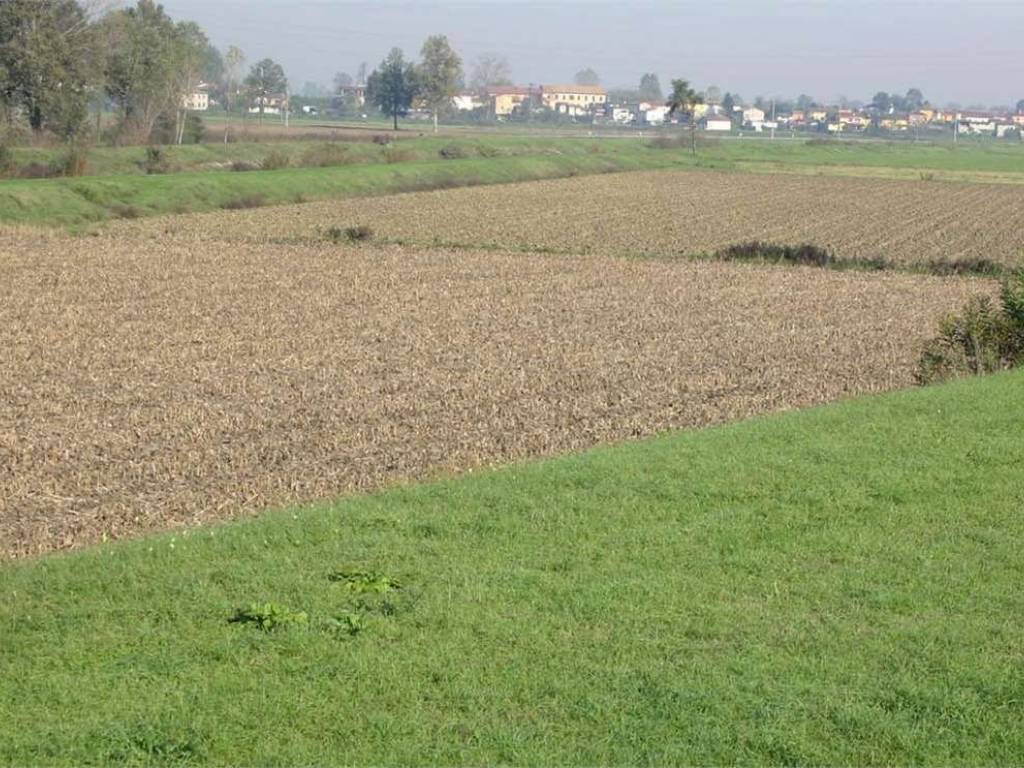 Terreno a Altopascio - Foto 2