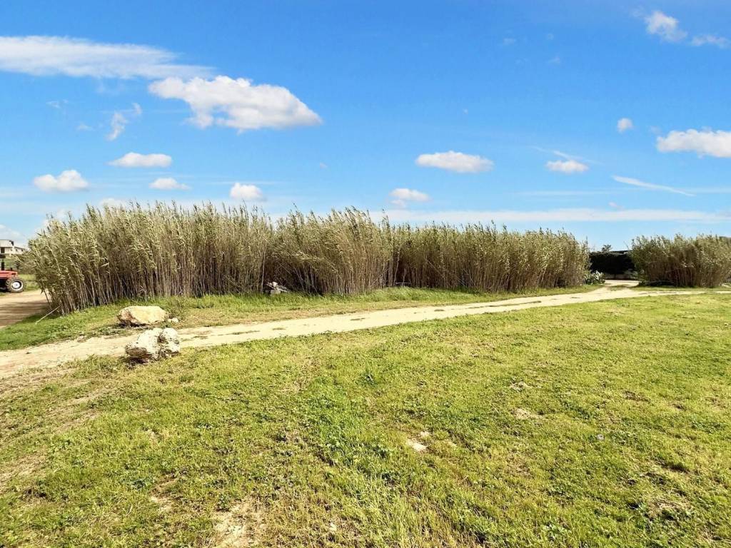 Terreno a Porto cesareo in SP217, Porto Cesareo LE, Italia - Foto 2