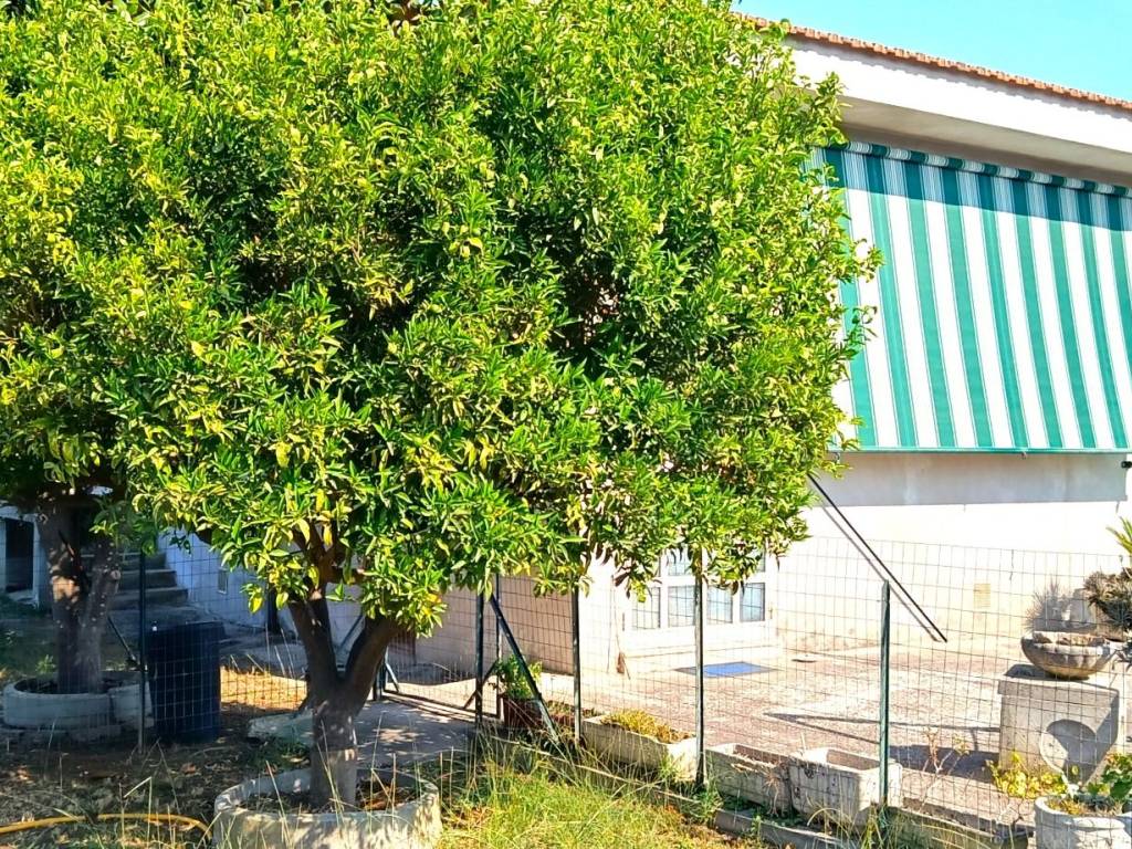 Casa indipendente a Cisterna di latina in Via del Valloncello, 11 - Foto 2