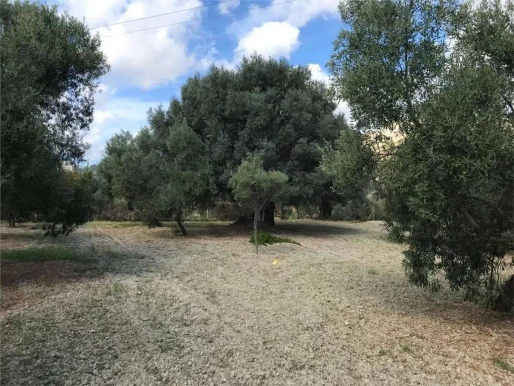 Terreno a Siderno in Via Lisantoni S.N.C. - Foto 2