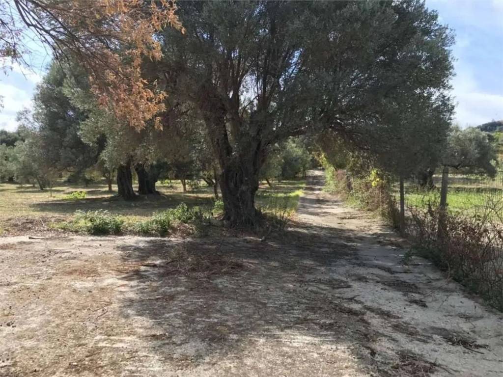 Terreno a Siderno in Via Lisantoni S.N.C. - Foto 3