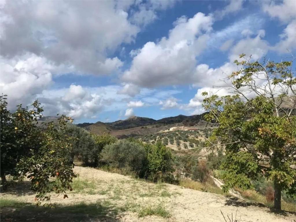 Terreno a Siderno in Via Lisantoni S.N.C. - Foto 5