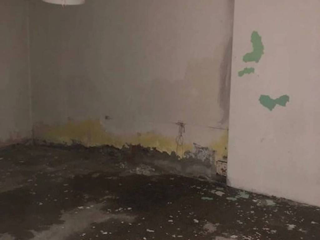 Rustico / casale a Introbio in Via Scultor Tantardini, 5 - Foto 5
