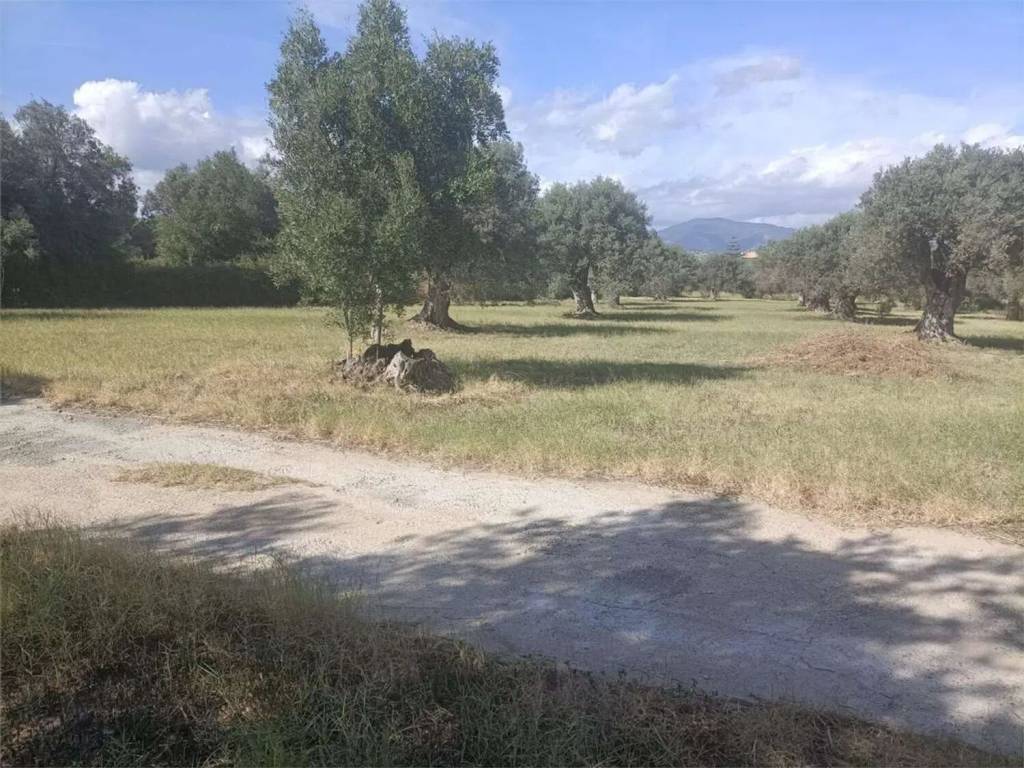 Terreno a Siderno in Contrada Misserianni - Foto 2