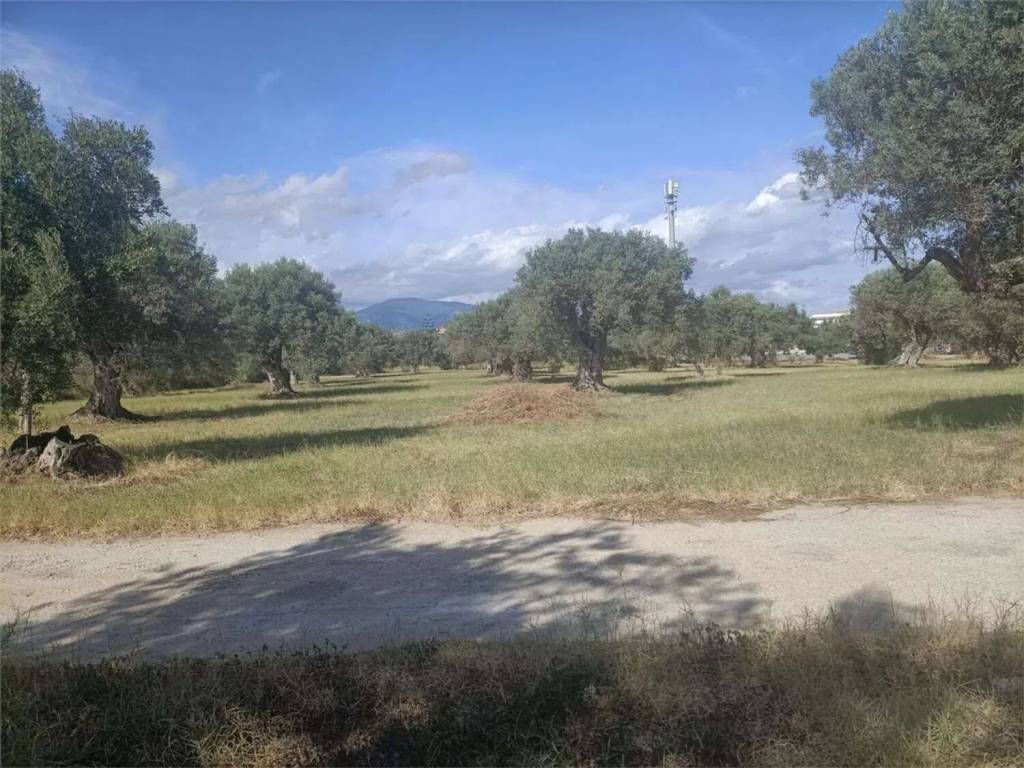 Terreno a Siderno in Contrada Misserianni - Foto 3