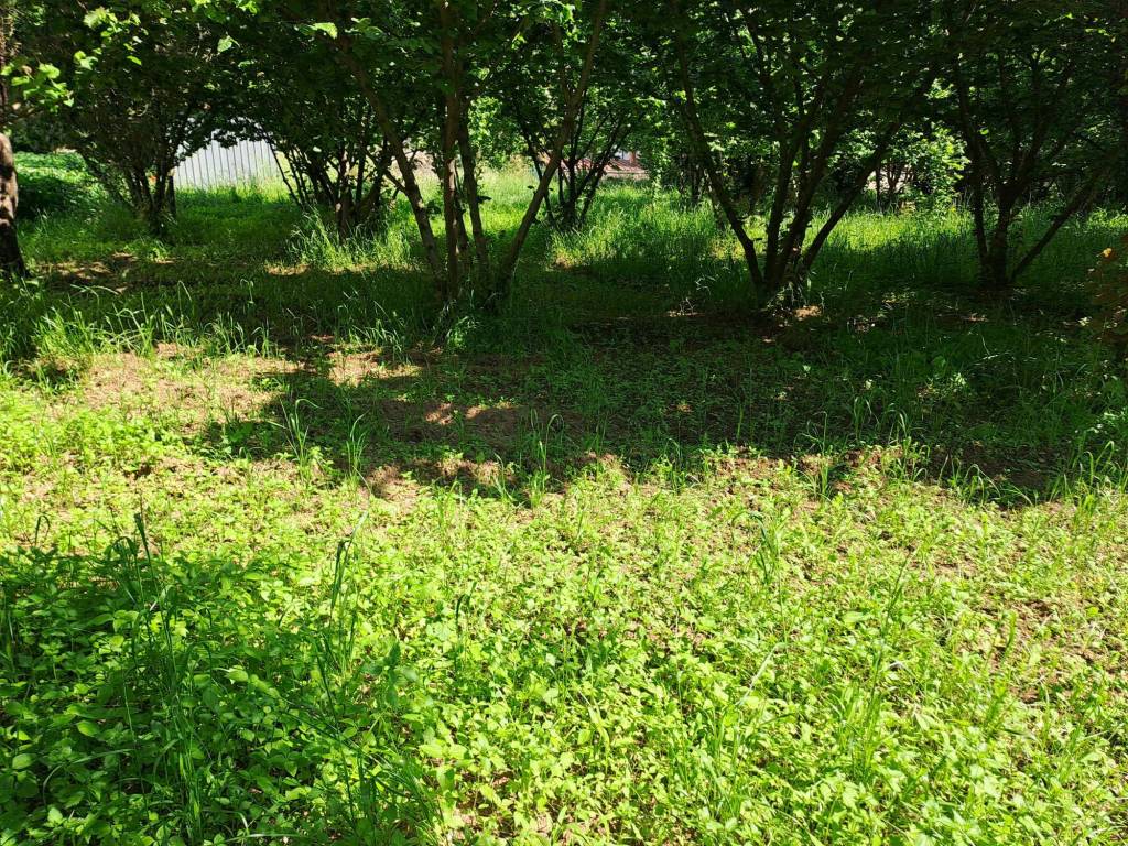 Terreno a Baronissi - Foto 4