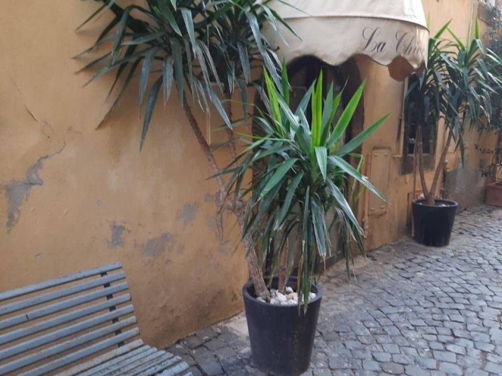 Immobile a Monte porzio catone in Vicolo Piacentini - Foto 2