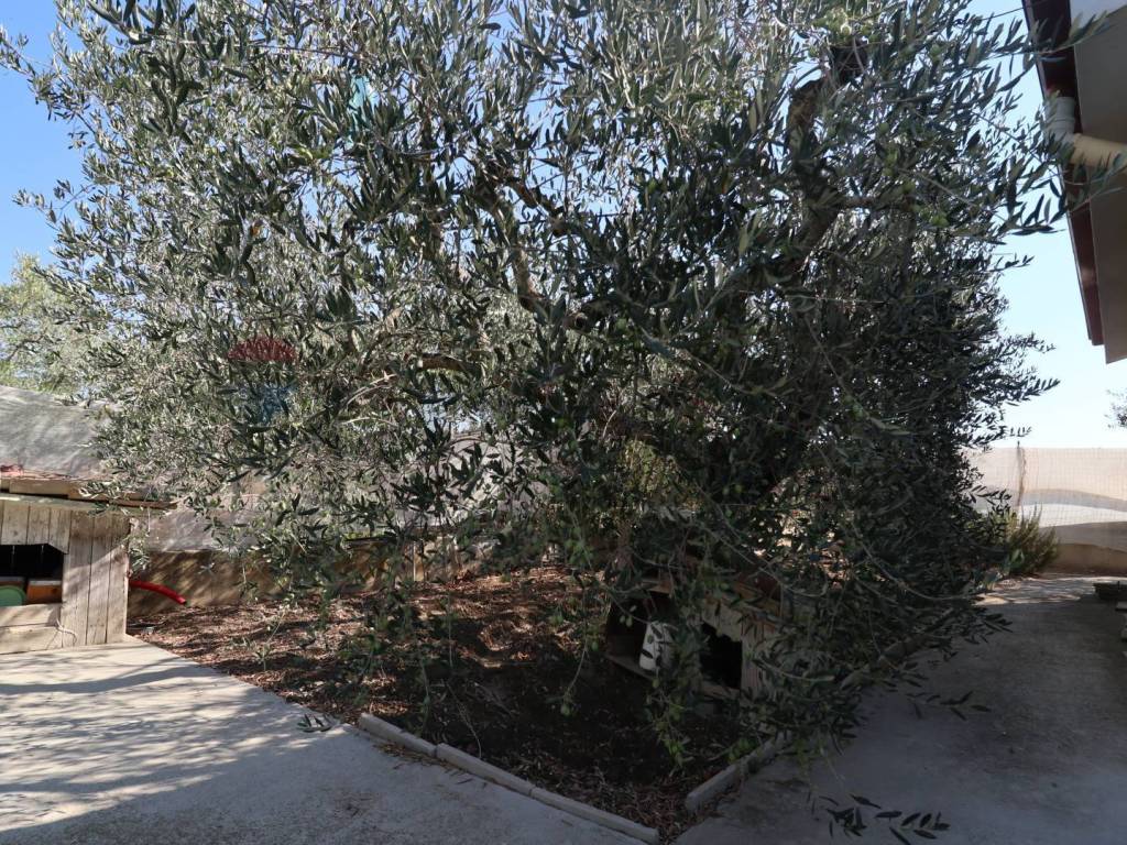 Villa a Matera - Foto 3