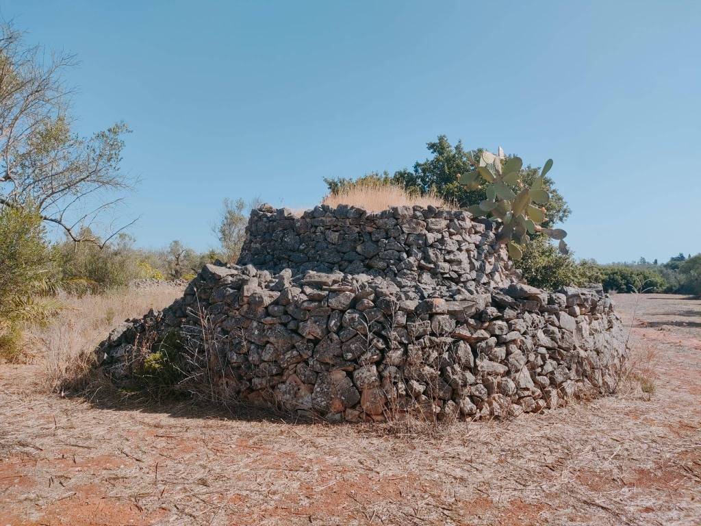 Terreno a Neviano in Strada Vicinale della Specchia - Foto 3