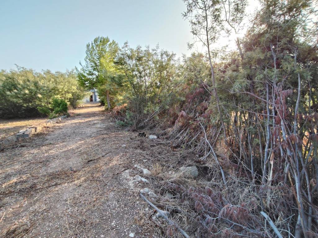 Terreno a Lecce in Via Padre Agostino Gemelli - Foto 4