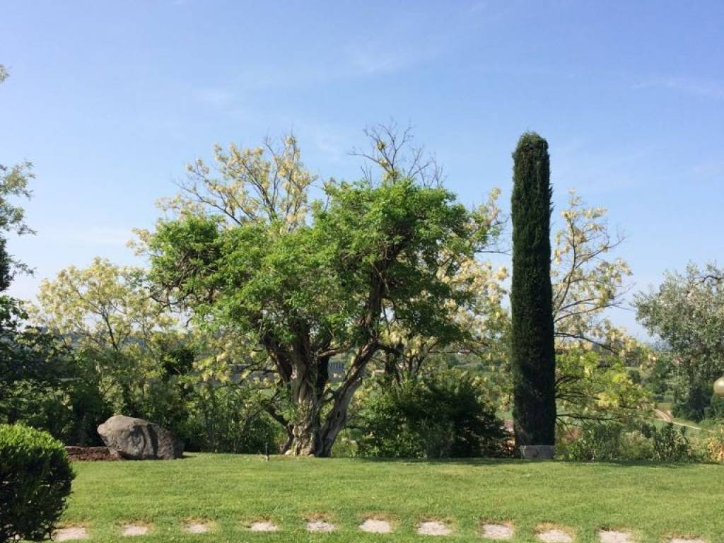 Appartamento a Lazise - Foto 5