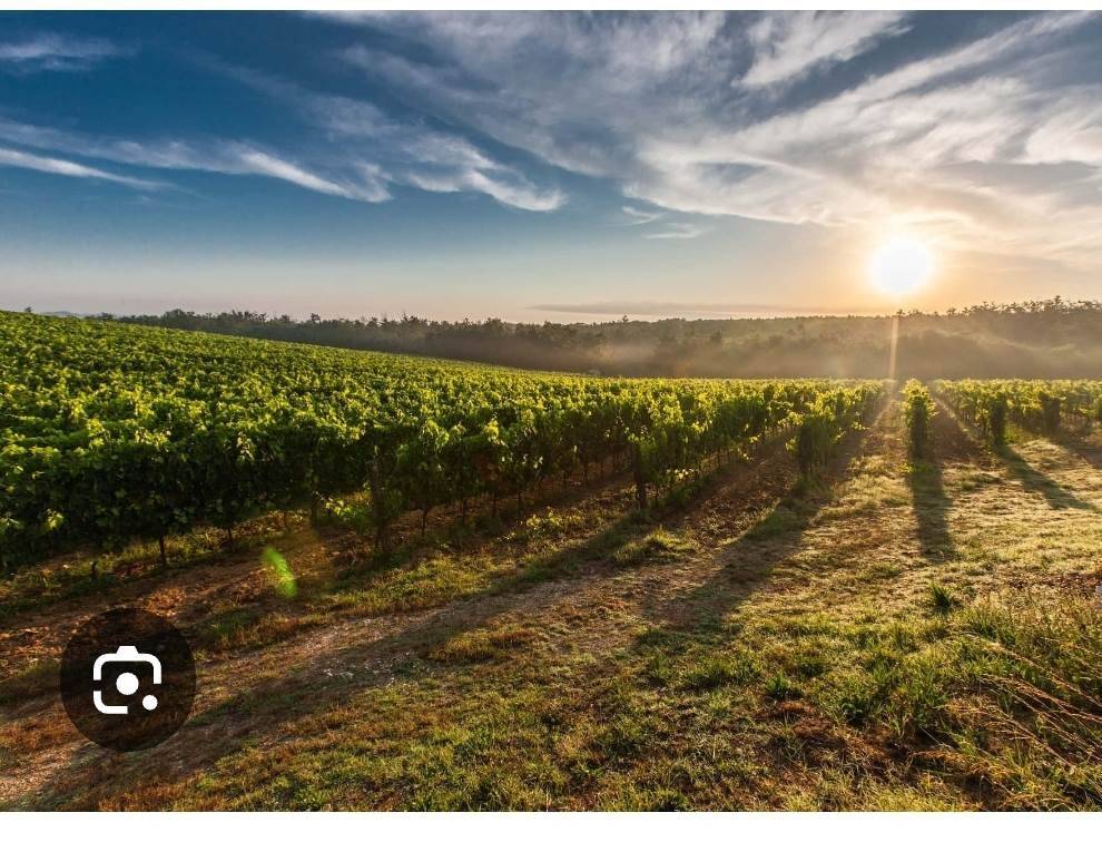 Terreno a Terranuova bracciolini - Foto 4