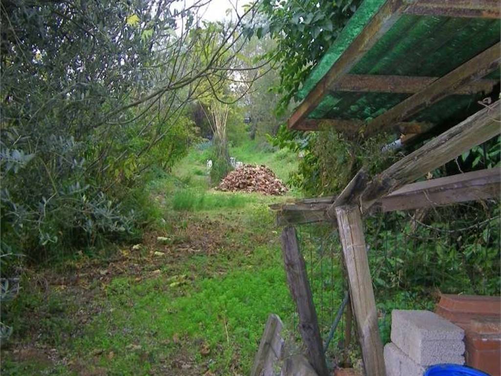 Rustico / casale a Porcari in porcari - Foto 4