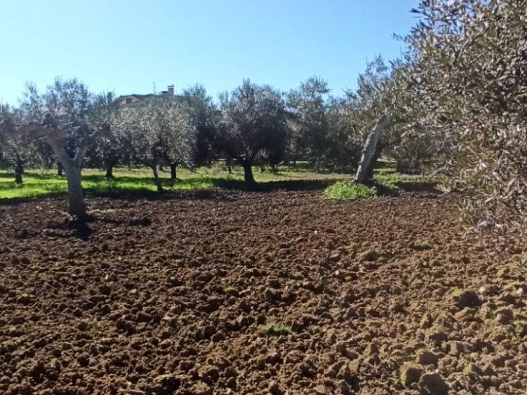Terreno a Cepagatti in Via Aurora - Foto 3