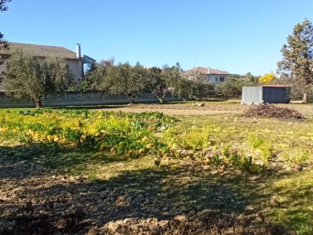 Terreno a Cepagatti in Via Aurora - Foto 4