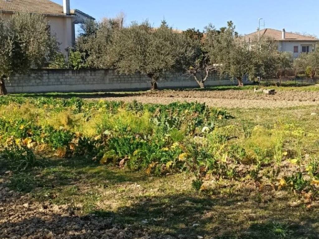 Terreno a Cepagatti in Via Aurora - Foto 5