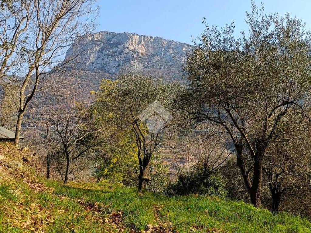 Terreno a Finale ligure in Terreno Via Valgelata, 13 - Foto 4