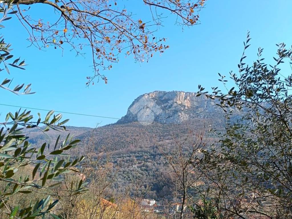 Terreno a Finale ligure in Terreno Via Valgelata, 13 - Foto 5