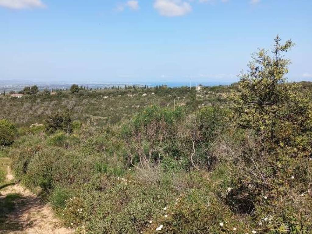 Terreno a Sassari in Strada Vicinale Logulentu Badde Tolta - Foto 2