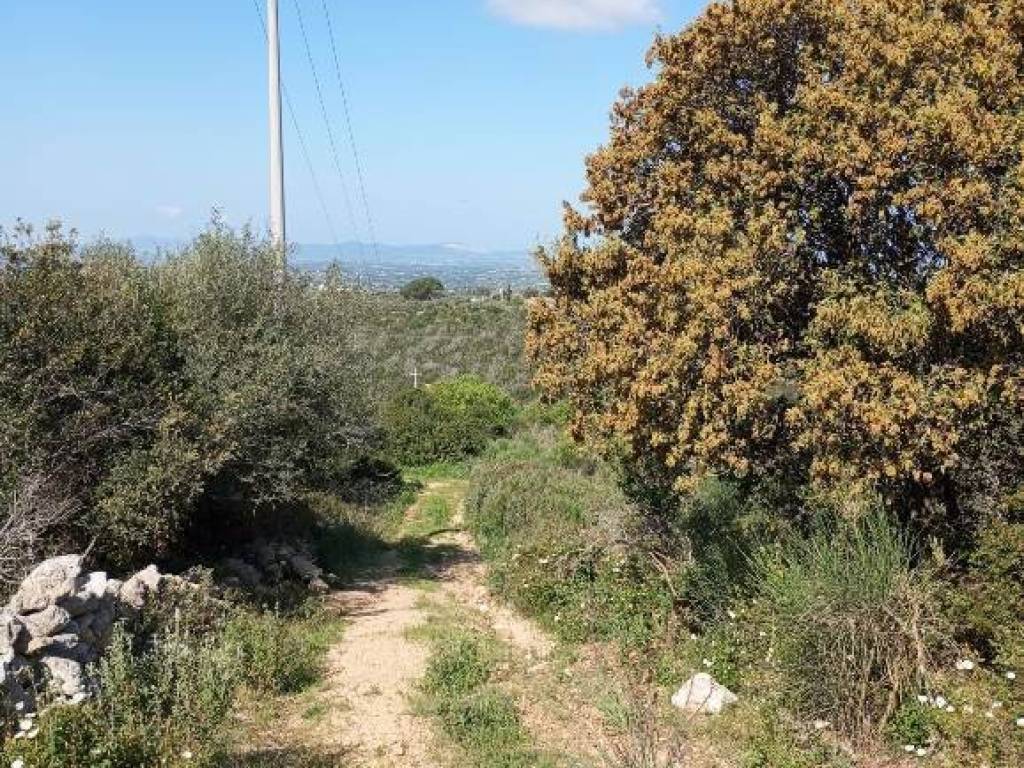 Terreno a Sassari in Strada Vicinale Logulentu Badde Tolta - Foto 3