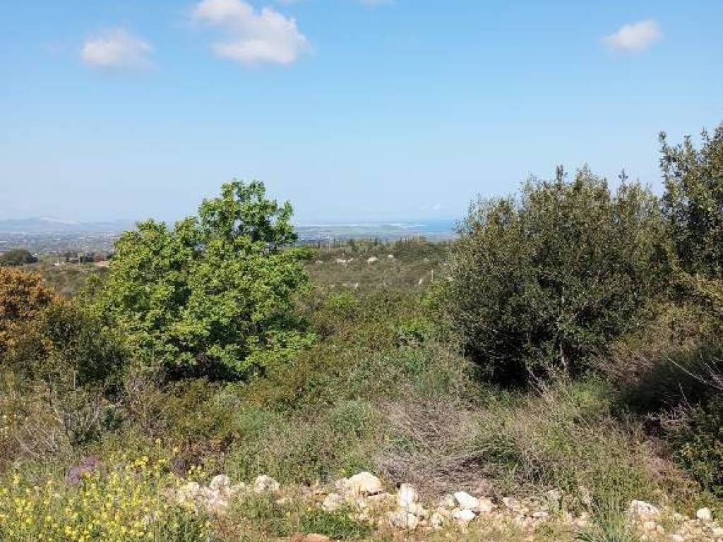 Terreno a Sassari in Strada Vicinale Logulentu Badde Tolta - Foto 4