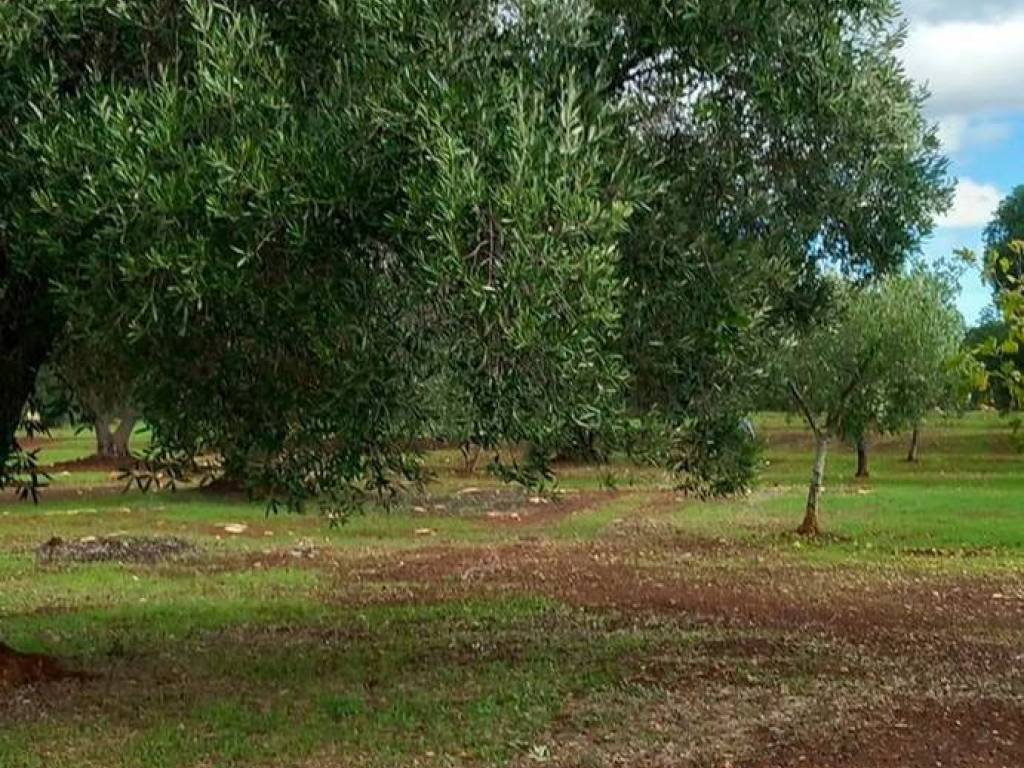Terreno a Carovigno in Contrada Deserto S.N.C. - Foto 2