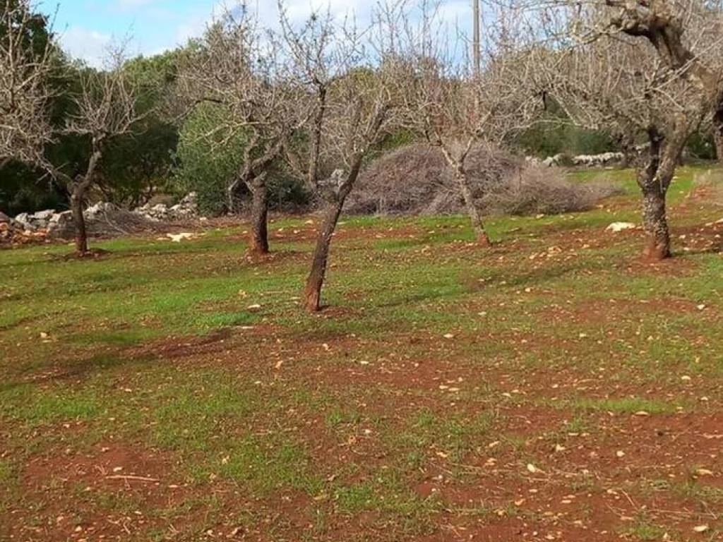 Terreno a Carovigno in Contrada Deserto S.N.C. - Foto 3
