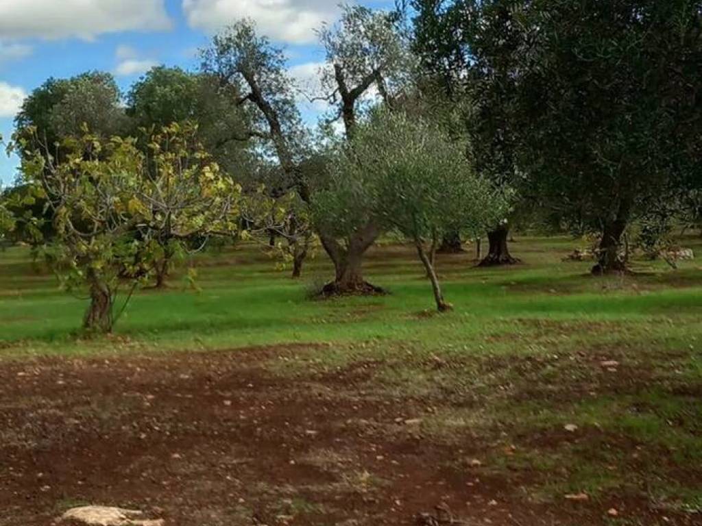 Terreno a Carovigno in Contrada Deserto S.N.C. - Foto 5