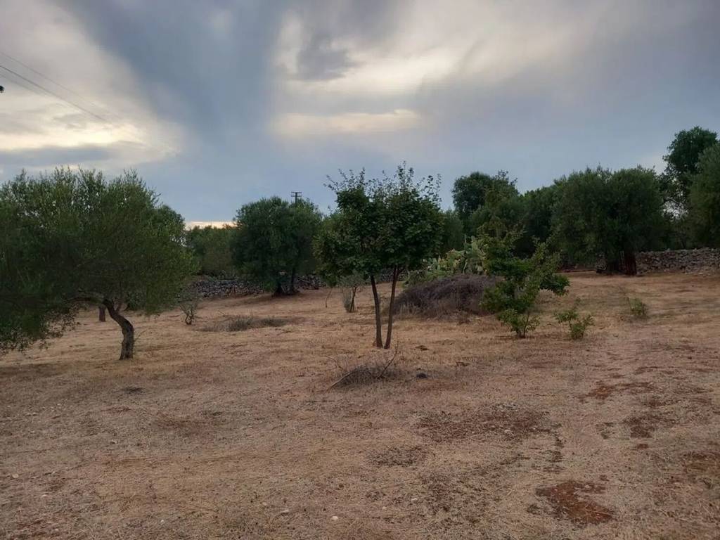 Terreno a Ostuni in Contrada Albrizido S.N.C. - Foto 5