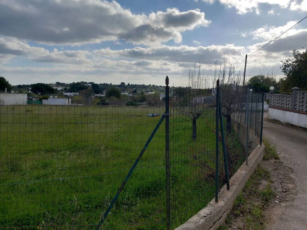 Terreno a Ostuni in Contrada Salinola S.N.C. - Foto 2