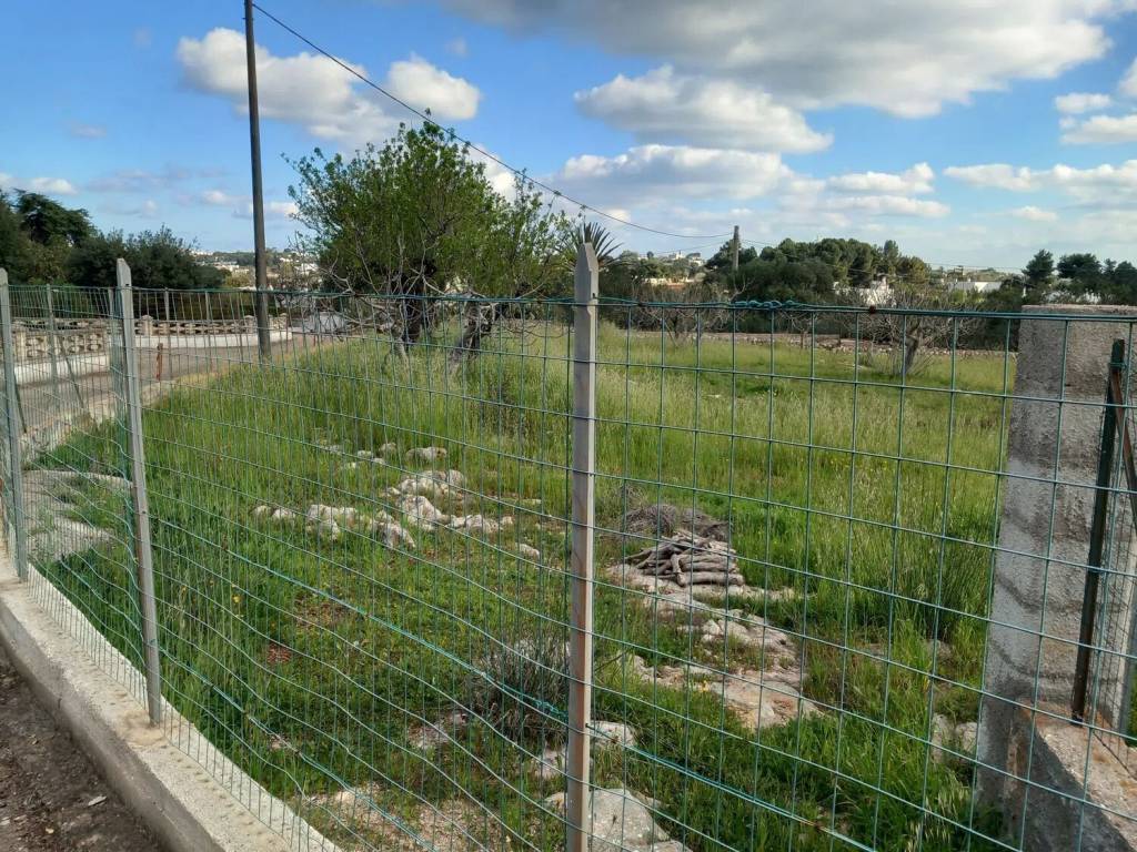 Terreno a Ostuni in Contrada Salinola S.N.C. - Foto 5