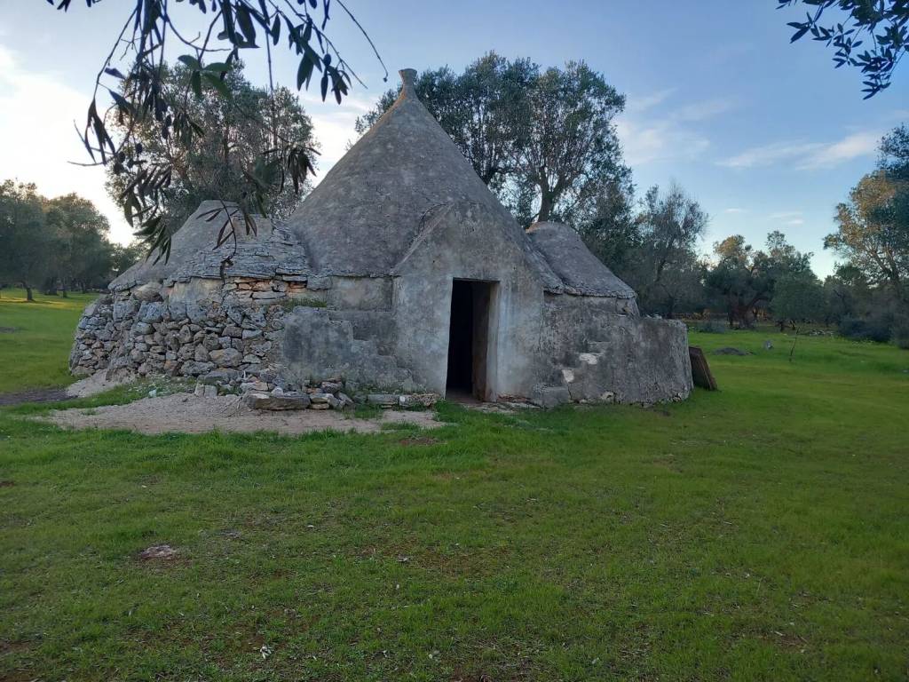 Rustico / casale a San michele salentino in Contrada Sardella S.N.C. - Foto 2