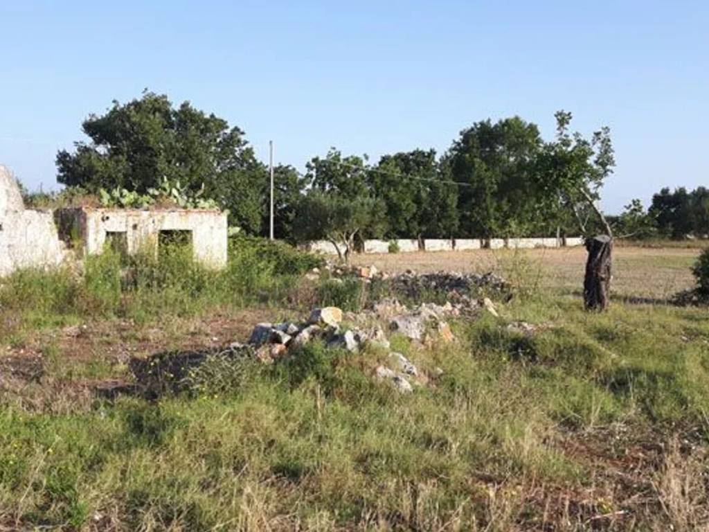 Rustico / casale a Carovigno in Contrada Correo S.N.C. - Foto 2