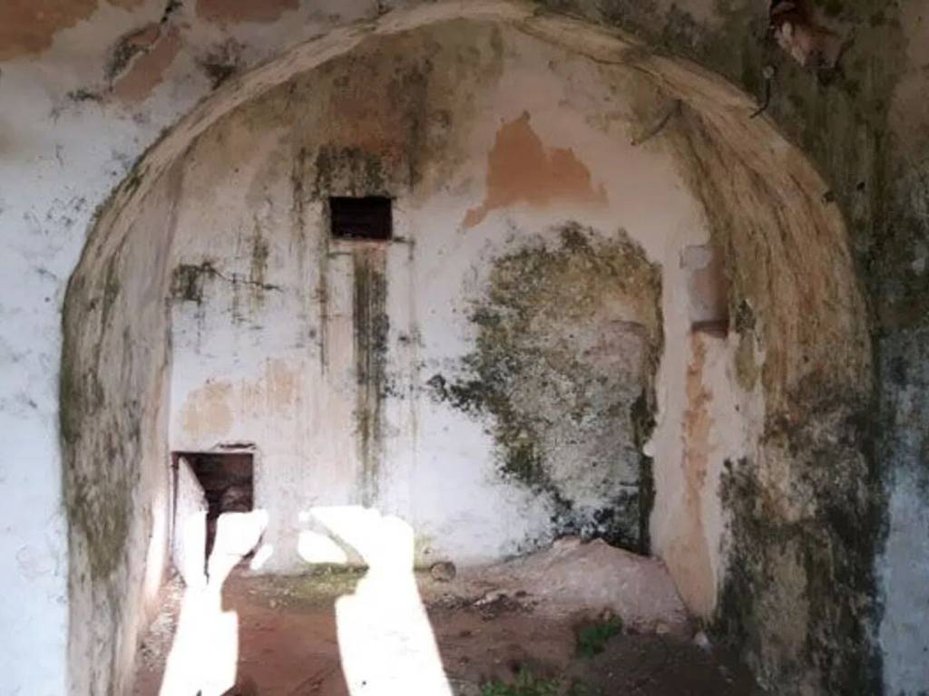 Rustico / casale a Carovigno in Contrada Correo S.N.C. - Foto 4
