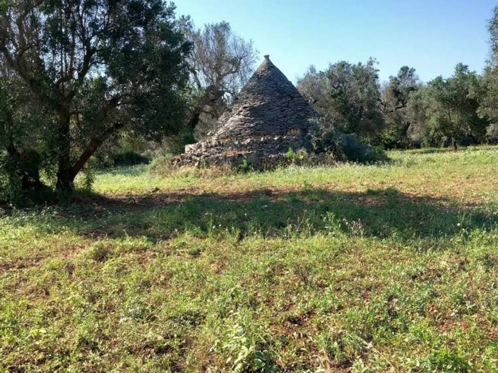 Rustico / casale a Ceglie messapica in Contrada Votano Russo S.N.C. - Foto 2