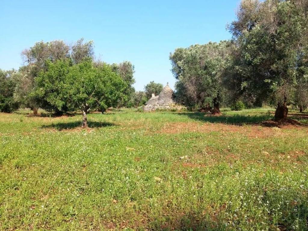 Rustico / casale a Ceglie messapica in Contrada Votano Russo S.N.C. - Foto 3