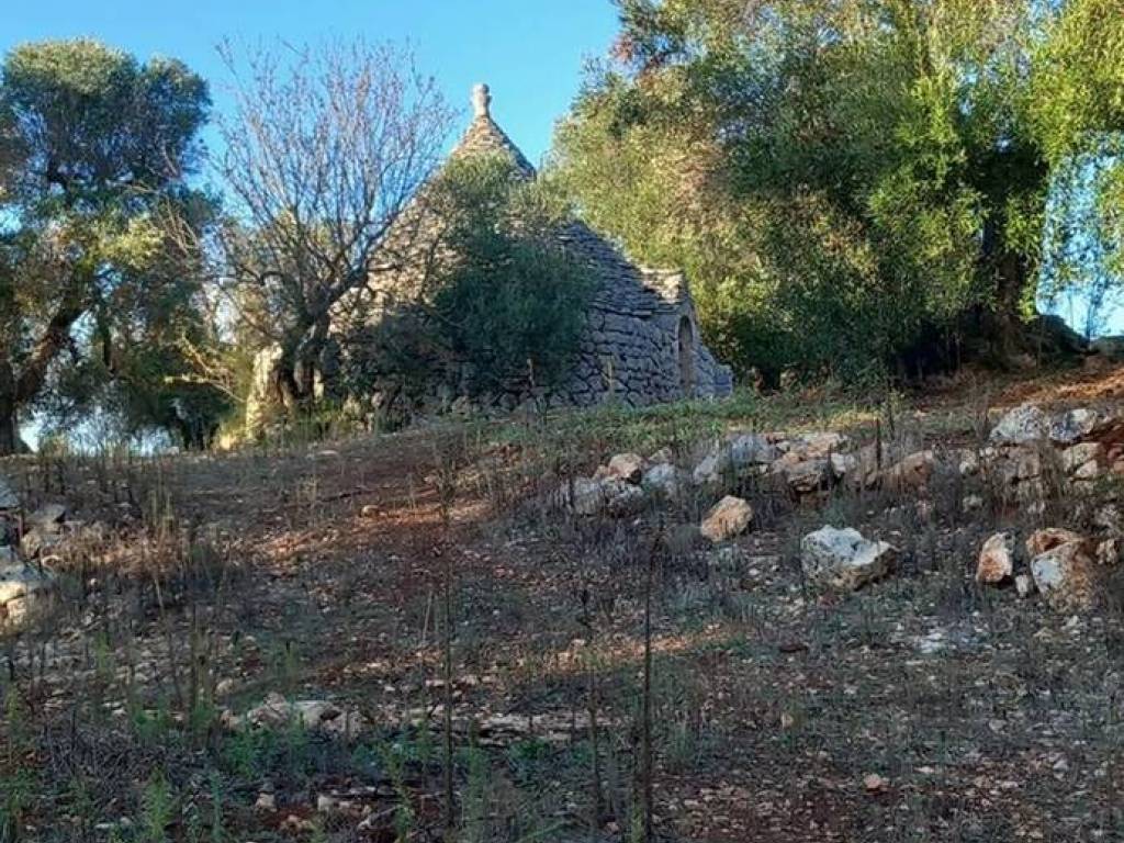 Rustico / casale a Ceglie messapica in Contrada Barone S.N.C. - Foto 3