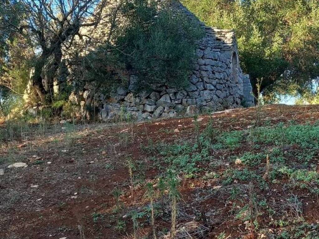 Rustico / casale a Ceglie messapica in Contrada Barone S.N.C. - Foto 4