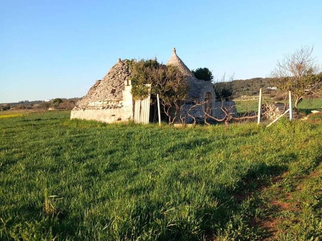 Rustico / casale a Ceglie messapica in Contrada Campo Orlando S.N.C. - Foto 2