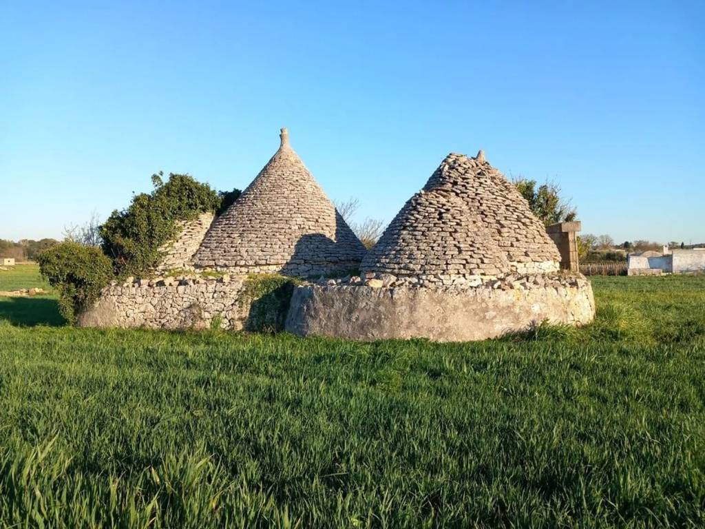 Rustico / casale a Ceglie messapica in Contrada Campo Orlando S.N.C. - Foto 5