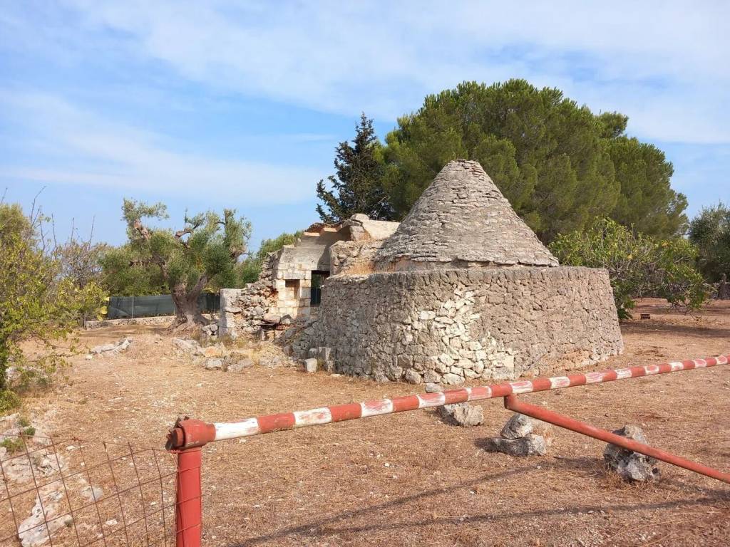 Rustico / casale a San michele salentino in Contrada Angeluzzi S.N.C. - Foto 4