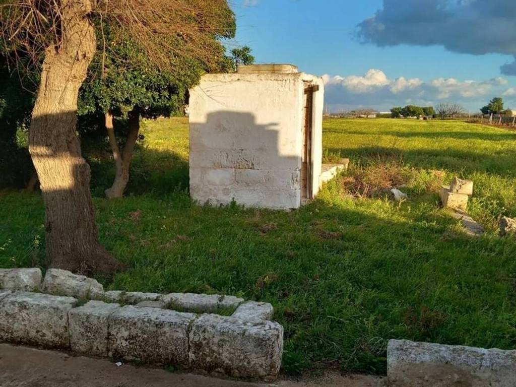 Rustico / casale a Carovigno in Strada Provinciale 35 S.N.C. - Foto 5